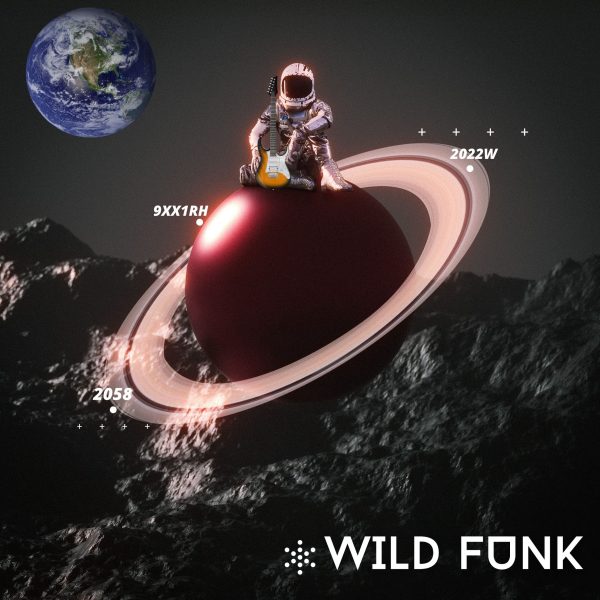 Wild Funk