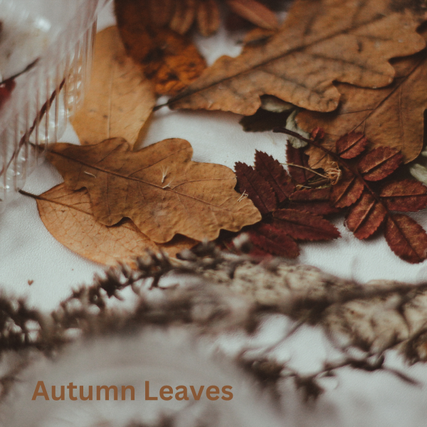 Autumn Leaves